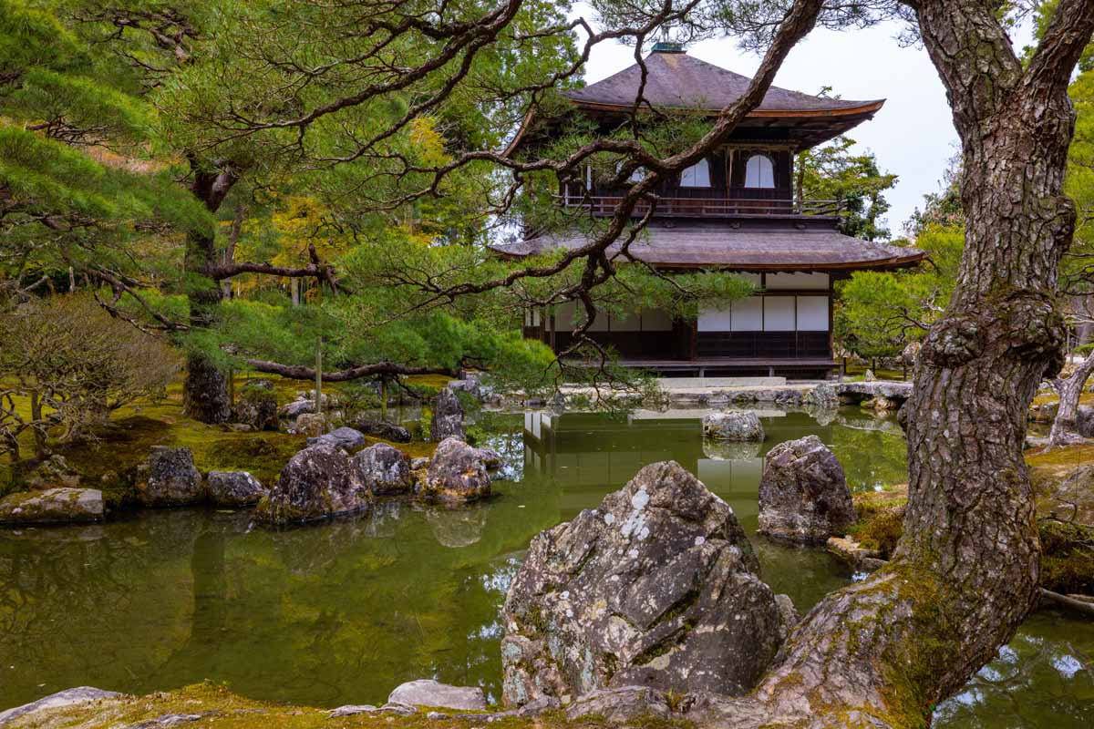 Photo by Balazs Simon: https://www.pexels.com/photo/a-japanese-garden-with-a-temple-and-a-pond-16154100/